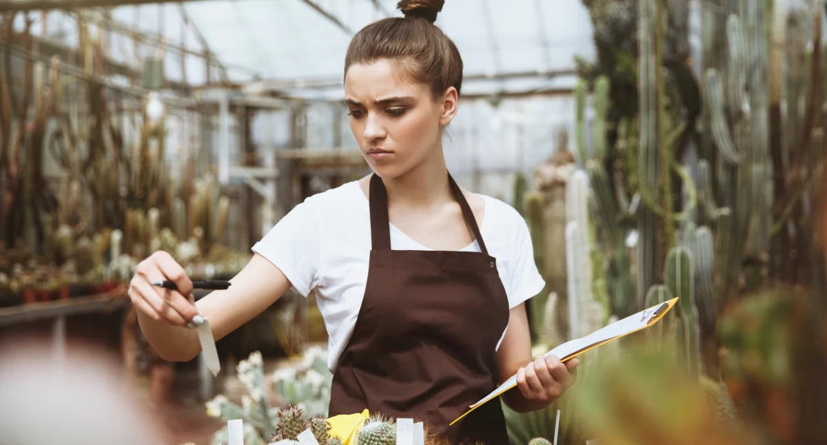 Rynek pracy, oferty pracy Wołów Sprawdź rekrutuje regionie - zdjęcie, fotografia