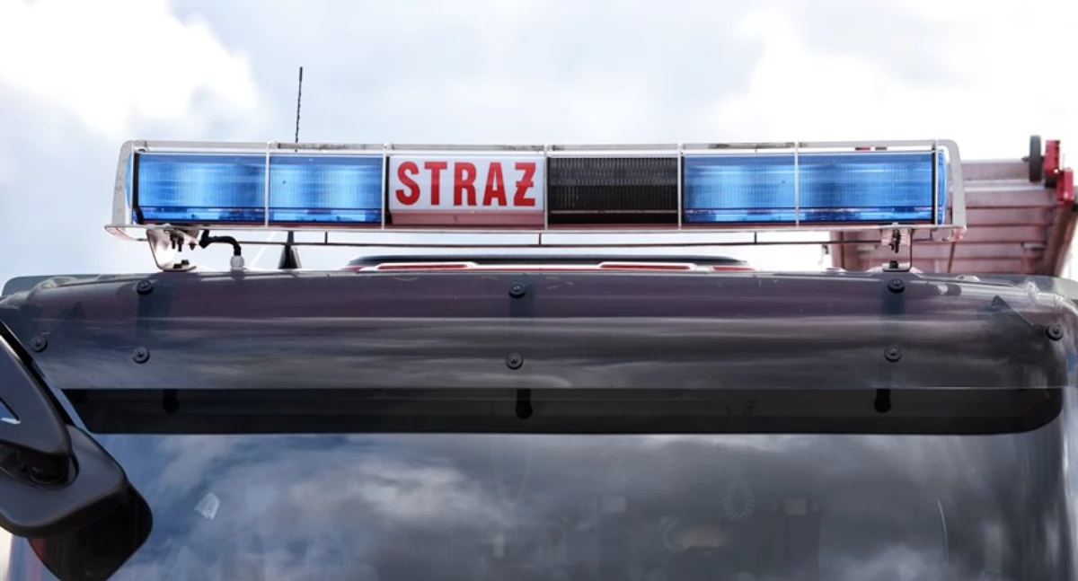 Pożary, Pożar terenie Rokita Służby uspokajają było zagrożenia - zdjęcie, fotografia