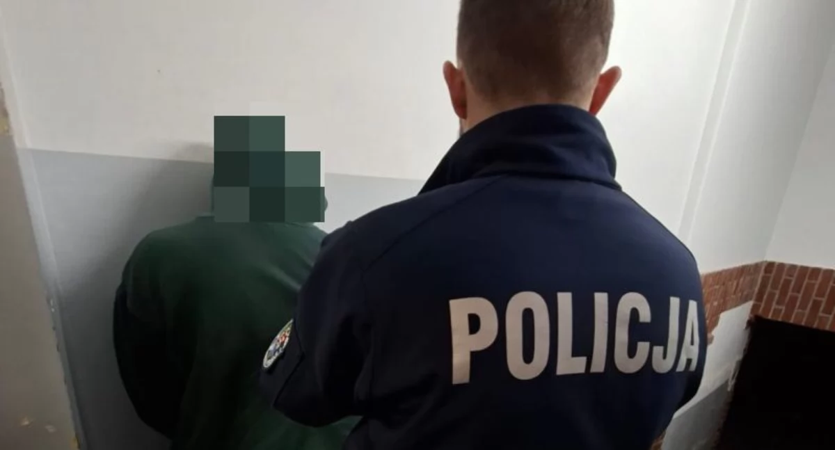 Bezpieczeństwo, Skuteczne działania wołowskiej policji Dwóch latków zatrzymanych sprawie narkotyków - zdjęcie, fotografia