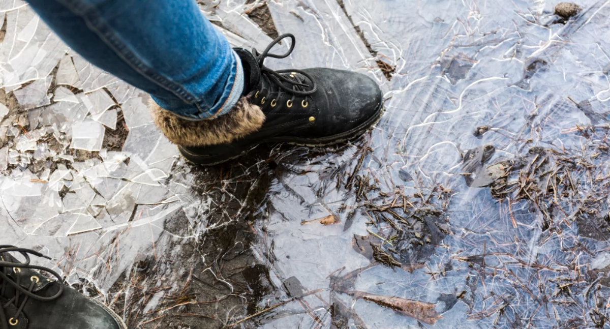 Pogoda, Ostrzeżenie meteorologiczne powiatu wołowskiego Prognozowane opady marznące gołoledź - zdjęcie, fotografia