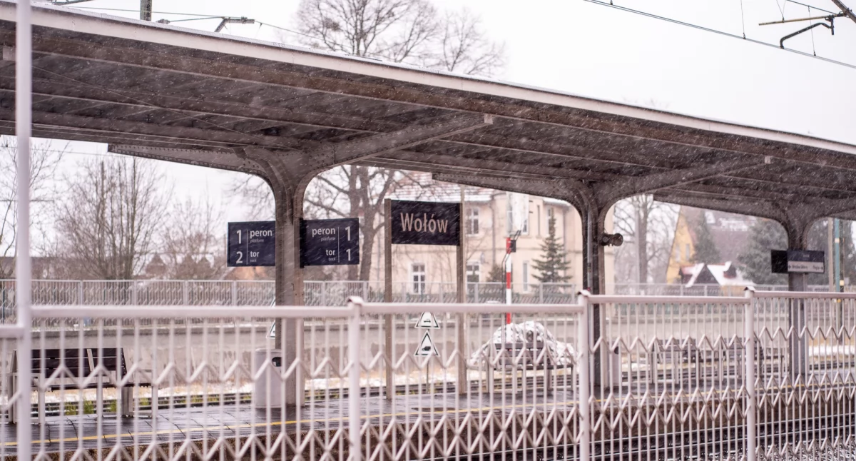 Awarie i wyłączenia, Paraliż kolei Oblodzona sieć trakcyjna wstrzymała pociągów przez Wołów Brzeg Dolny - zdjęcie, fotografia