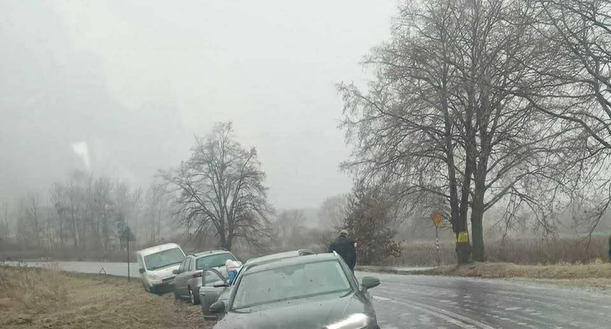 Pomoc, Czytelniczka dziękuje kierowcom ciężarówek samorządowi „Takie gesty naprawdę robią różnicę” - zdjęcie, fotografia