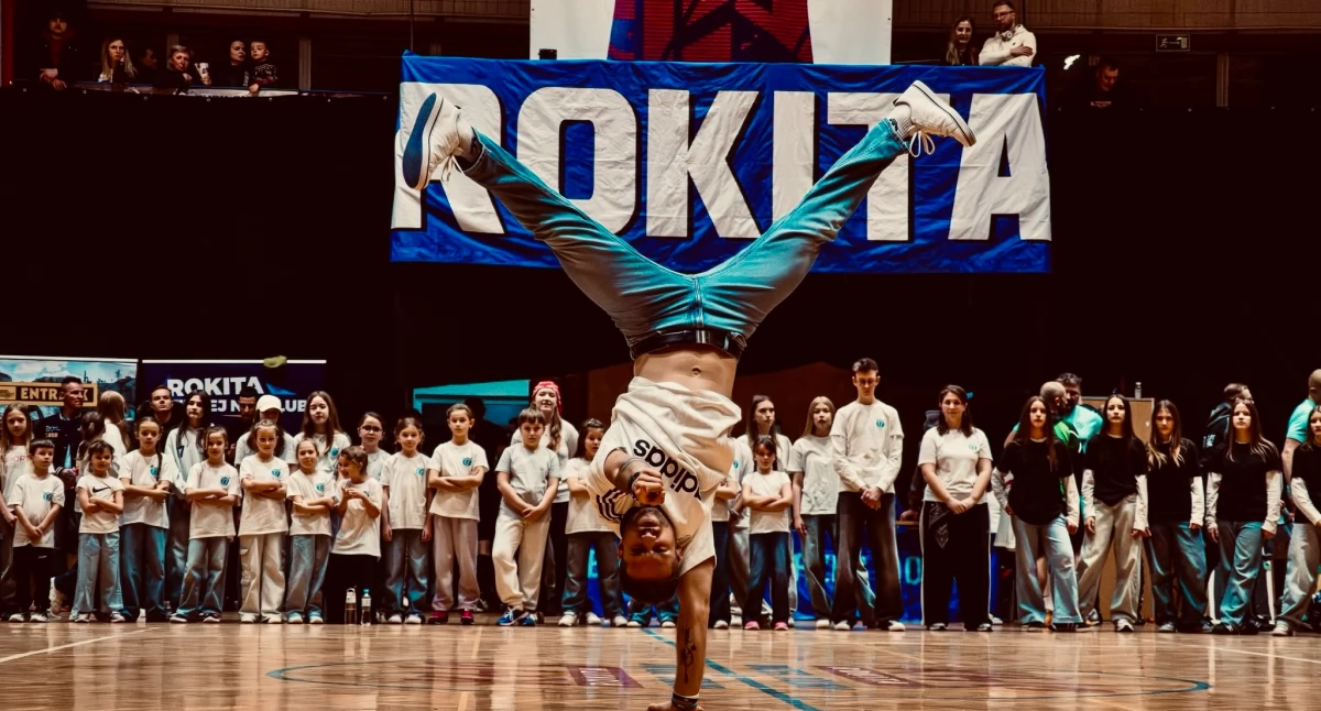 Inne sporty, UWAGA WOŁÓW BRZEG DOLNY OKOLICE! - zdjęcie, fotografia