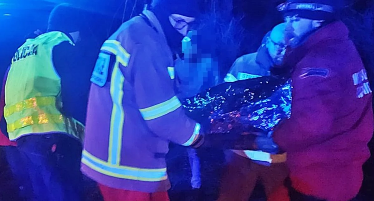Bezpieczeństwo, Intensywne poszukiwania zakończone sukcesem latek odnaleziony lesie - zdjęcie, fotografia