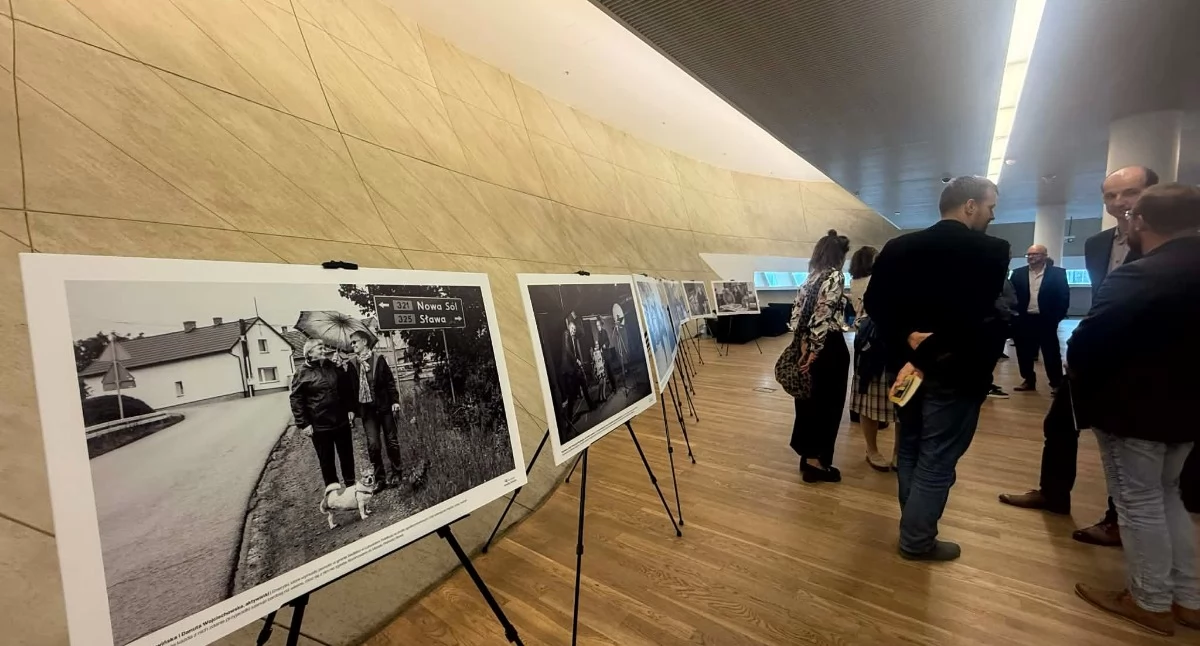 Publikacje, Weekendowy felieton korzeniach nagrodach fejkowych kontach - zdjęcie, fotografia