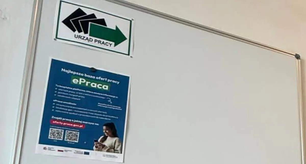 Rynek pracy, Praca powiecie wołowskim Sprawdzamy najnowsze oferty urzędu pracy - zdjęcie, fotografia