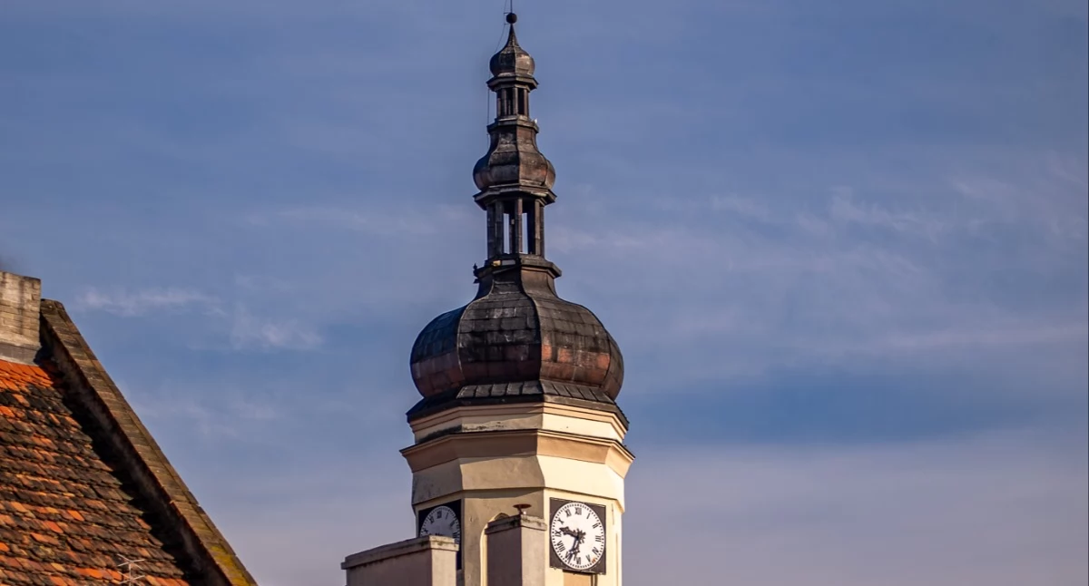 Przetargi, Nieruchomości dzierżawy Gminie Wołów Sprawdź wykazy burmistrza - zdjęcie, fotografia