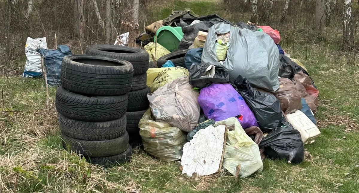 Interwencje, Nielegalne wysypisko śmieci Mieszkańcy alarmują Jakie grożą - zdjęcie, fotografia