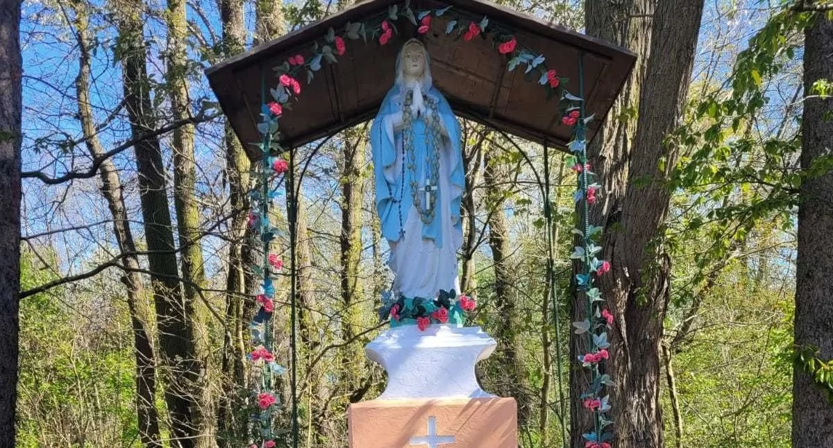 Święta i obchody, Wspólne przygotowania majówek Garwole - zdjęcie, fotografia
