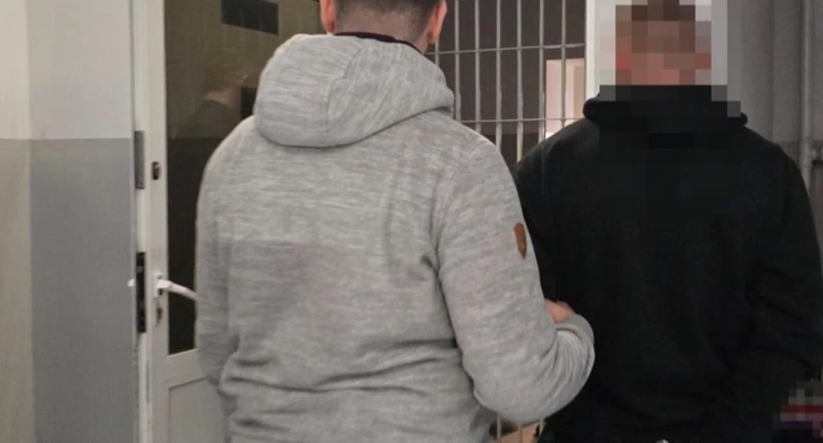 Bezpieczeństwo, Skuteczna obława poszukiwanych rękach policji - zdjęcie, fotografia