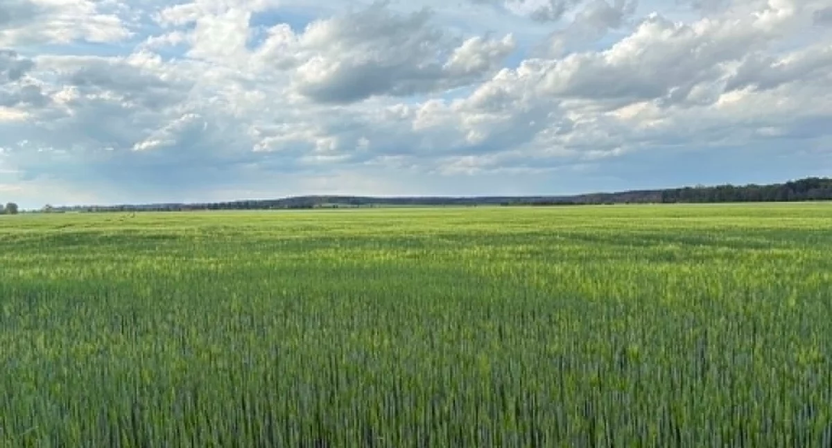 Natura jest piękna, ale bywa niebezpieczna. 