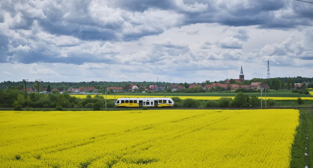 Komunikacja publiczna, Czerwcowy długi weekend Kolejami Dolnośląskimi Jeden bilet setki pomysłów wyjazd - zdjęcie, fotografia