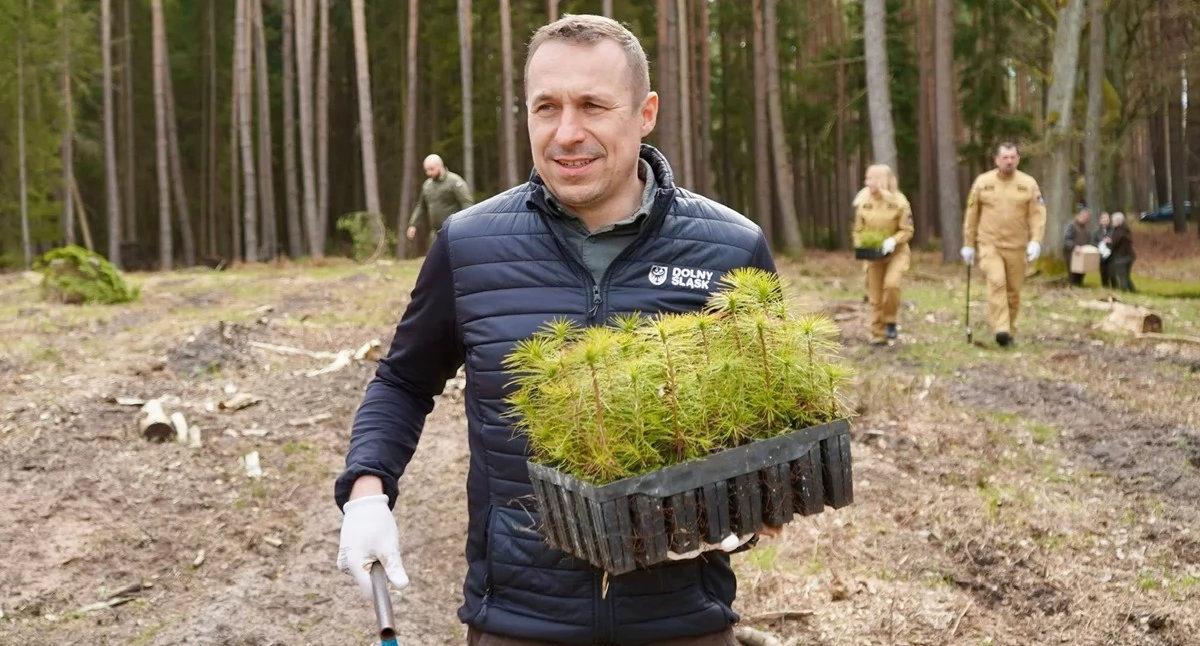 Troska o lasy to inwestycja w równowagę całego ekosystemu, którego ważną częścią są również pszczoły – marszałek Paweł Gancarz