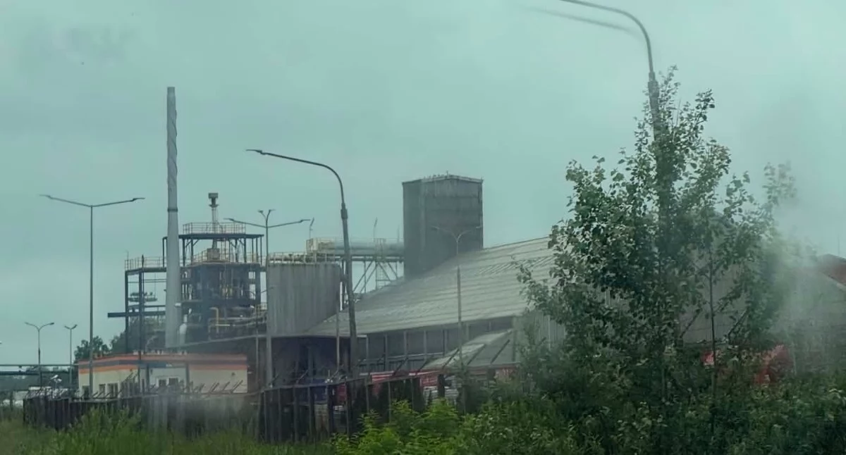 Interwencje, Letni smród Brzegu Dolnym Coroczna tradycja której prostu musimy przyzwyczaić - zdjęcie, fotografia