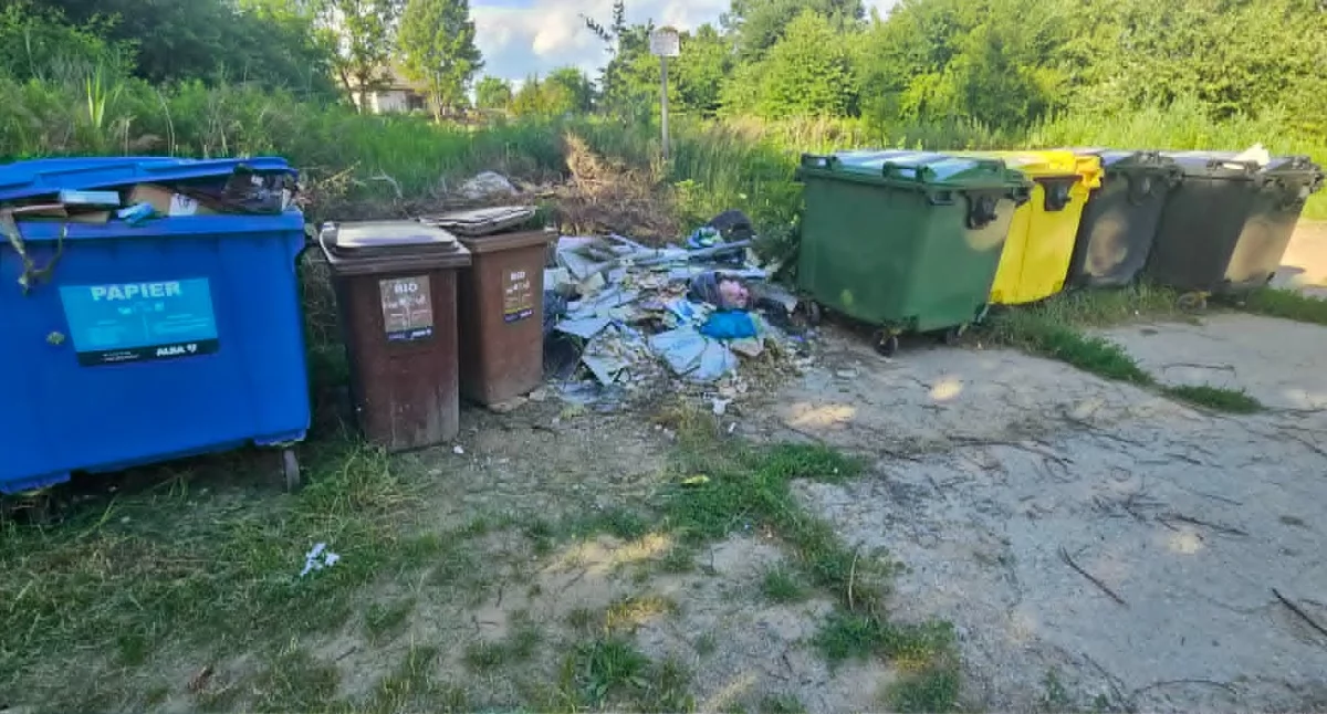 Interwencje, Zalani śmieciami końcu Jaworowej problem! - zdjęcie, fotografia