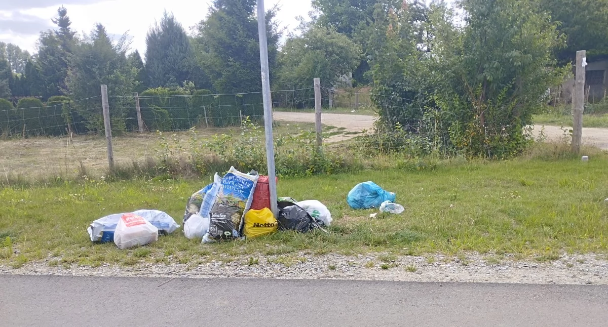 Zdjęcia: Czytelnik