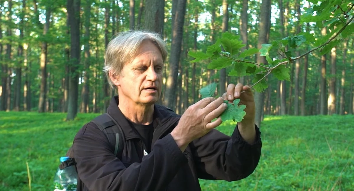 Natura i ekologia, Gancarza Łącznik Wołów postawił społeczne teraz coraz głośniej mówi ochronie unikatowych terenów zatrzymaniu - zdjęcie, fotografia