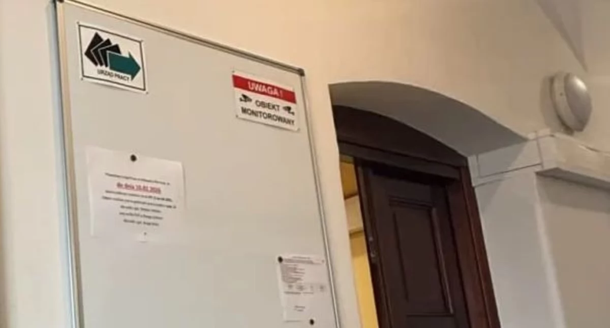 Rynek pracy, Nawet własny biznes Powiatowy Urząd Pracy Wołowie rozpoczął nabór wniosków - zdjęcie, fotografia