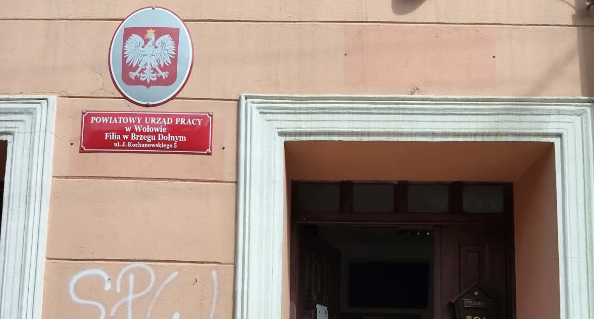 Rynek pracy, Oferty pracy powiecie wołowskim Szkoły szukają nauczycieli - zdjęcie, fotografia