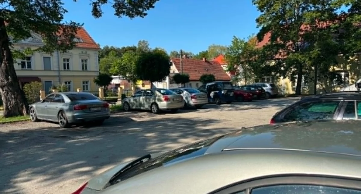 Natura i ekologia, Więcej parkingów więcej zieleni jakim kierunku powinien rozwijać Brzeg Dolny - zdjęcie, fotografia