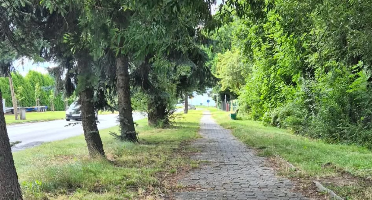 chodnik wzdłuż Marii Skłodowskiej Curie przed remontem