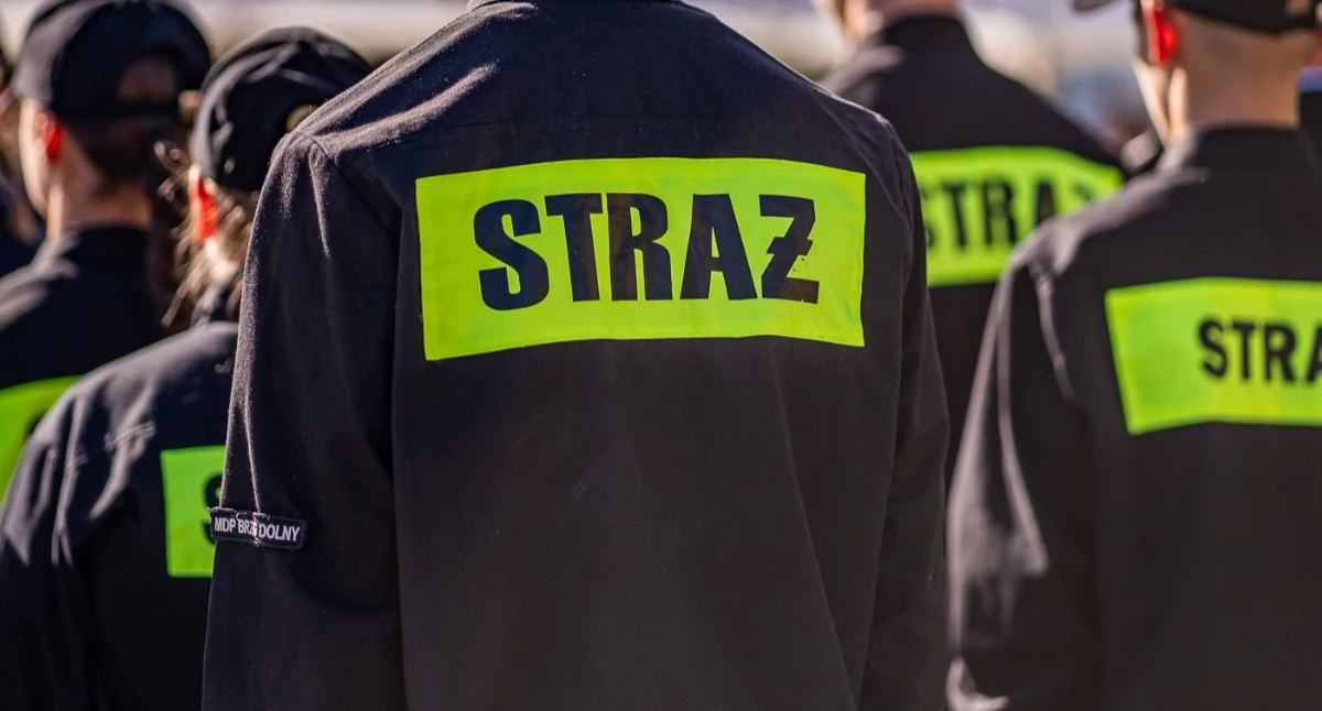 Rynek pracy, Szukają nauczycieli strażaka sprzedawców pracowników technicznych - zdjęcie, fotografia