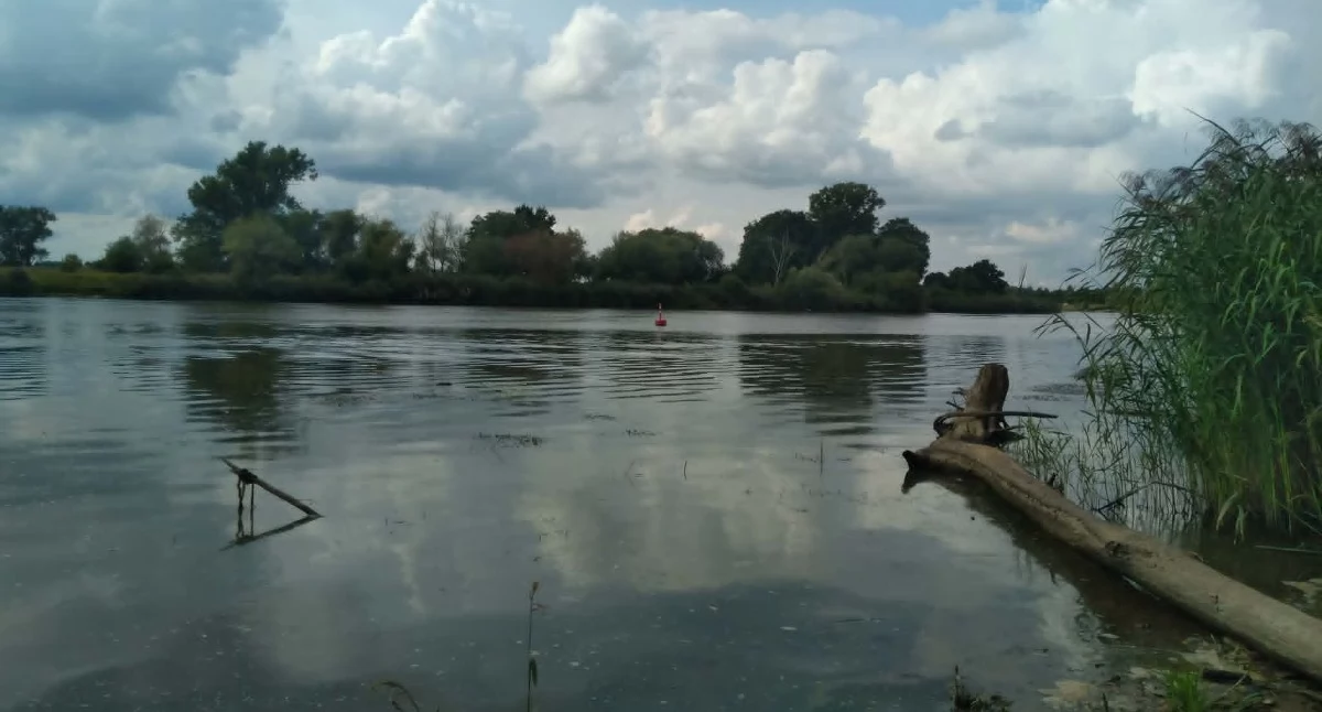 Odra.