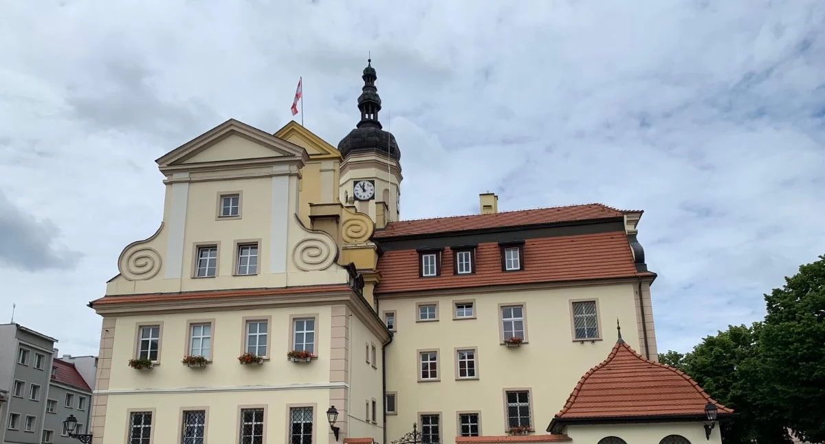 Przetargi, Wołów wystawia nieruchomość sprzedaż działka ogródek komórkę - zdjęcie, fotografia