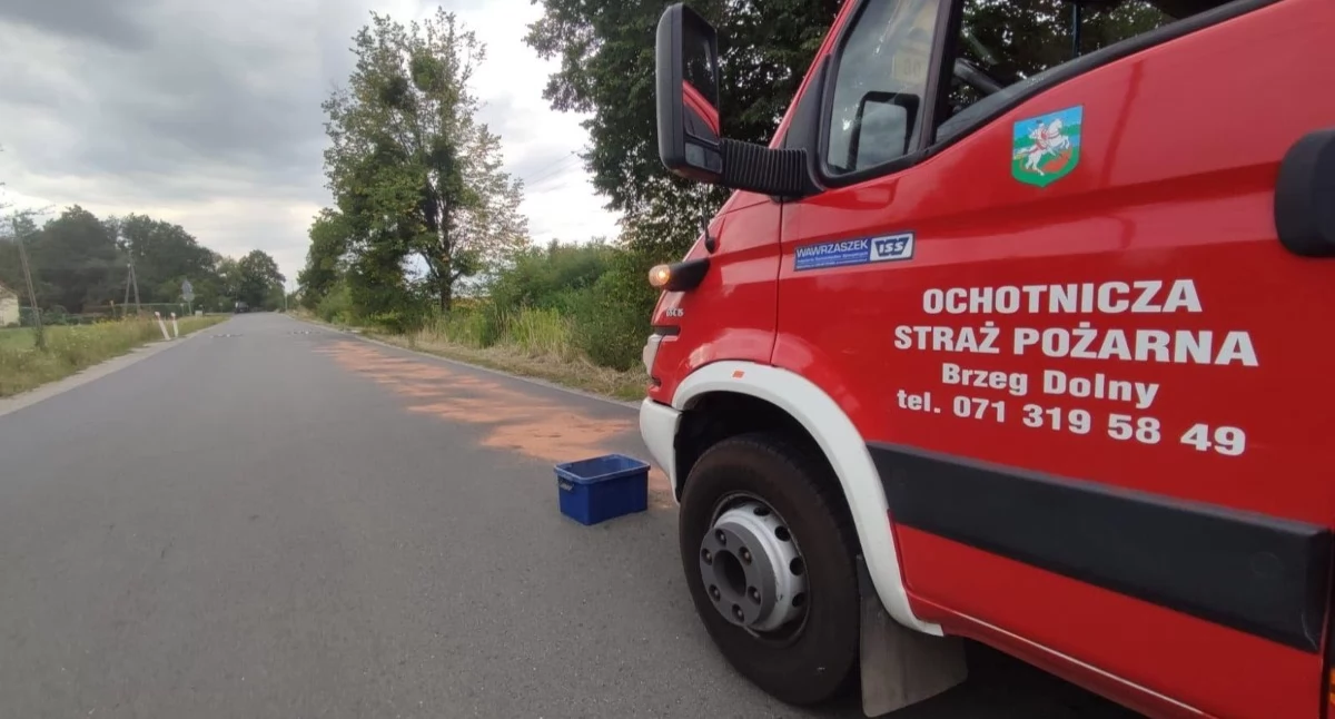 fot. OSP Brzeg Dolny