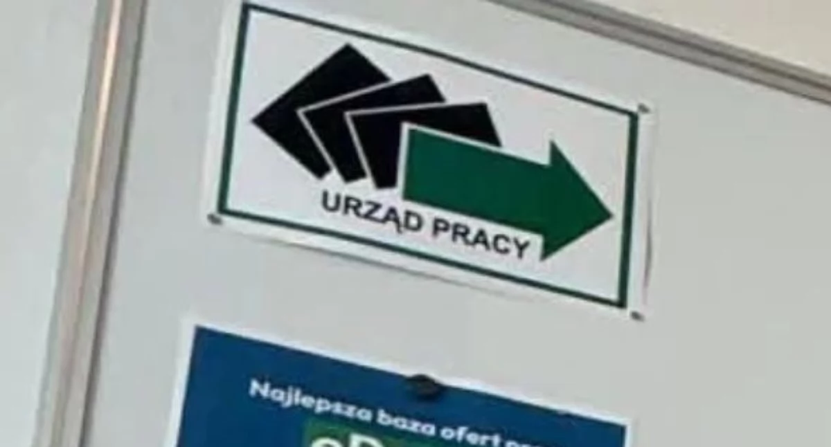 Rynek pracy, Szukasz pracy Sprawdź oferty powiatu wołowskiego [LISTA] - zdjęcie, fotografia
