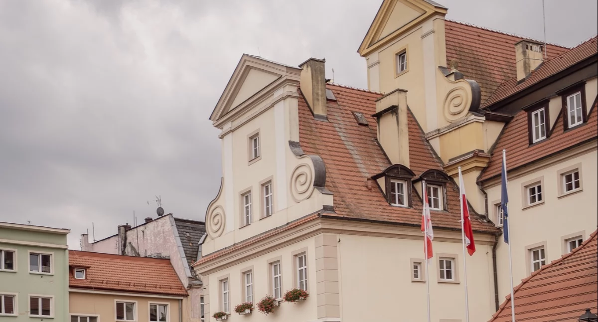 Komunikaty urzędów, Konsultacje wyłożenia planów zagospodarowania gminie Wołów harmonogram miasta - zdjęcie, fotografia