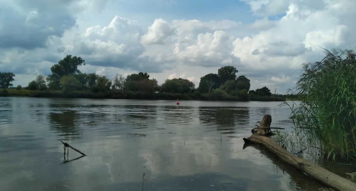 Natura i ekologia, Wołów Brzeg Dolny Wińsko weźmy sprawy swoje ręce! Zbliża Akcja Sprzątanie Świata - zdjęcie, fotografia