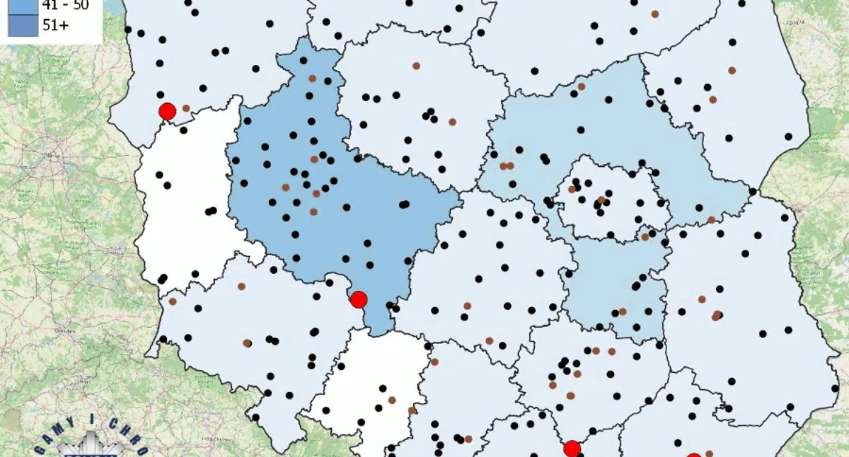 Polska Policja.