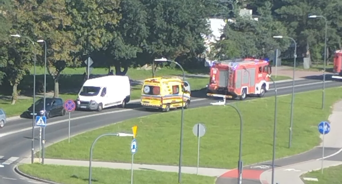 Komunikaty straży pożarnej, Szerszenie drzewa wypadki pożary zalane mieszkania Strażacy mieli pełne ręce roboty - zdjęcie, fotografia