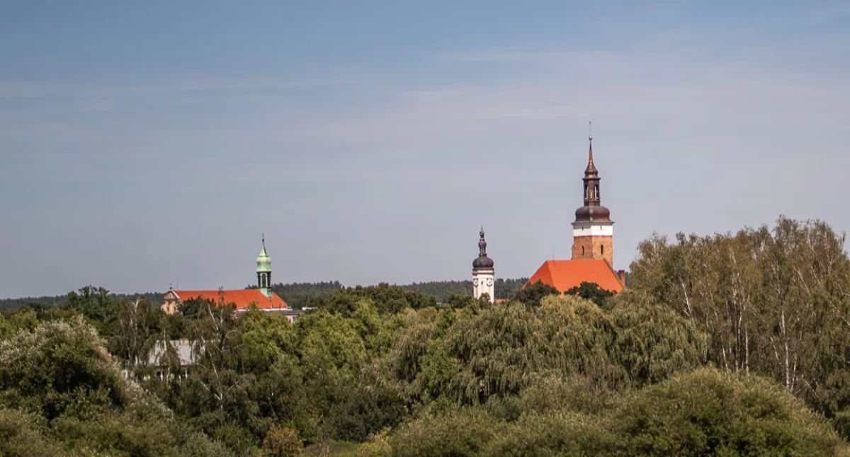 Przetargi, Gmina Wołów sprzedaje lokale mieszkalne Wykaz nieruchomości przeznaczonych zbycia - zdjęcie, fotografia
