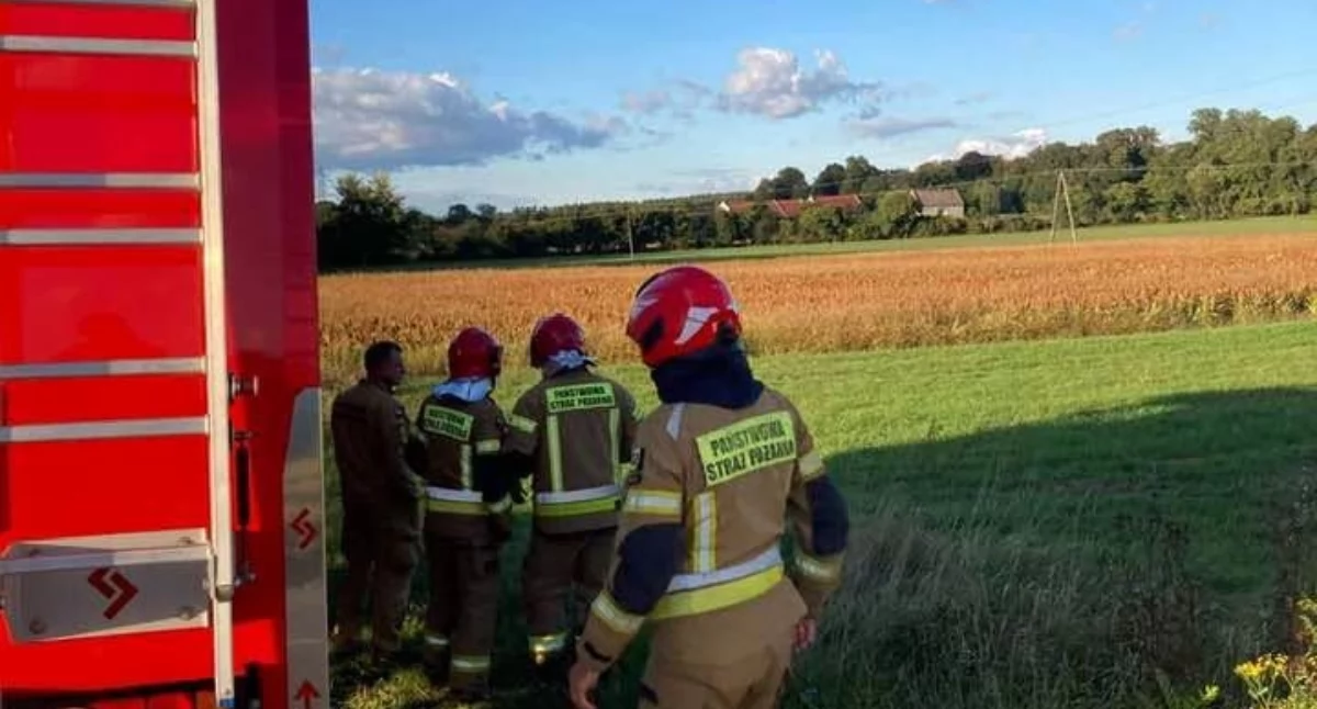 Pożary, Słup linii wysokiego napięcia Strażacy interweniowali okolicy Żerkowa - zdjęcie, fotografia