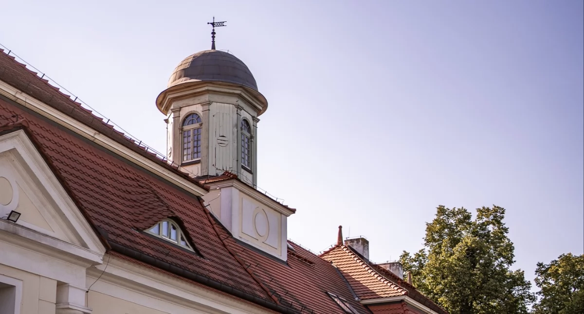 Przetargi, Działki sprzedaż Brzegu Dolnym Pogalewie Małym zaczynają - zdjęcie, fotografia