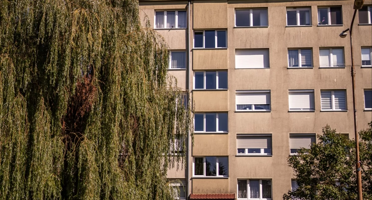 Nieruchomości, trzeba zapłacić mieszkanie naszym powiecie Sprawdzamy mieszkań gminie Brzeg Dolny Wińsko Wołów - zdjęcie, fotografia
