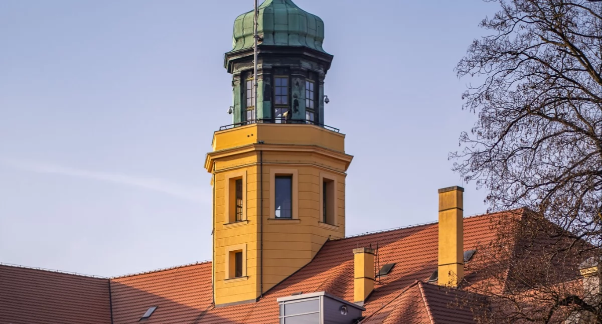 Przetargi, Starostwo Wołowie wystawia działki Nieruchomości Mikorzycach Bukowicach sprzedaż - zdjęcie, fotografia