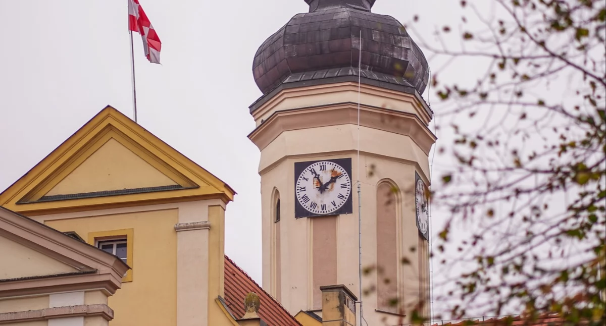 Przetargi, Wołów wystawia nieruchomości sprzedaż działka Lipnicy - zdjęcie, fotografia