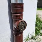 Fotka nr 2 z 5