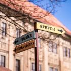 zdjęcie nr 7