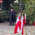 zdjęcie nr 13