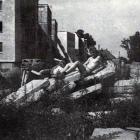 zdjęcie nr 10