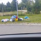 Zdjęcia: Czytelnik