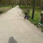 Fotka nr 1 z 2