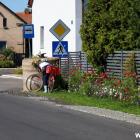 zdjęcie nr 17
