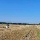 fot. Pracownia Badań Historycznych i Archeologicznych Pomost