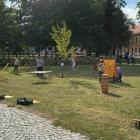 zdjęcie nr 19