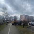 Fotka nr 2 z 3